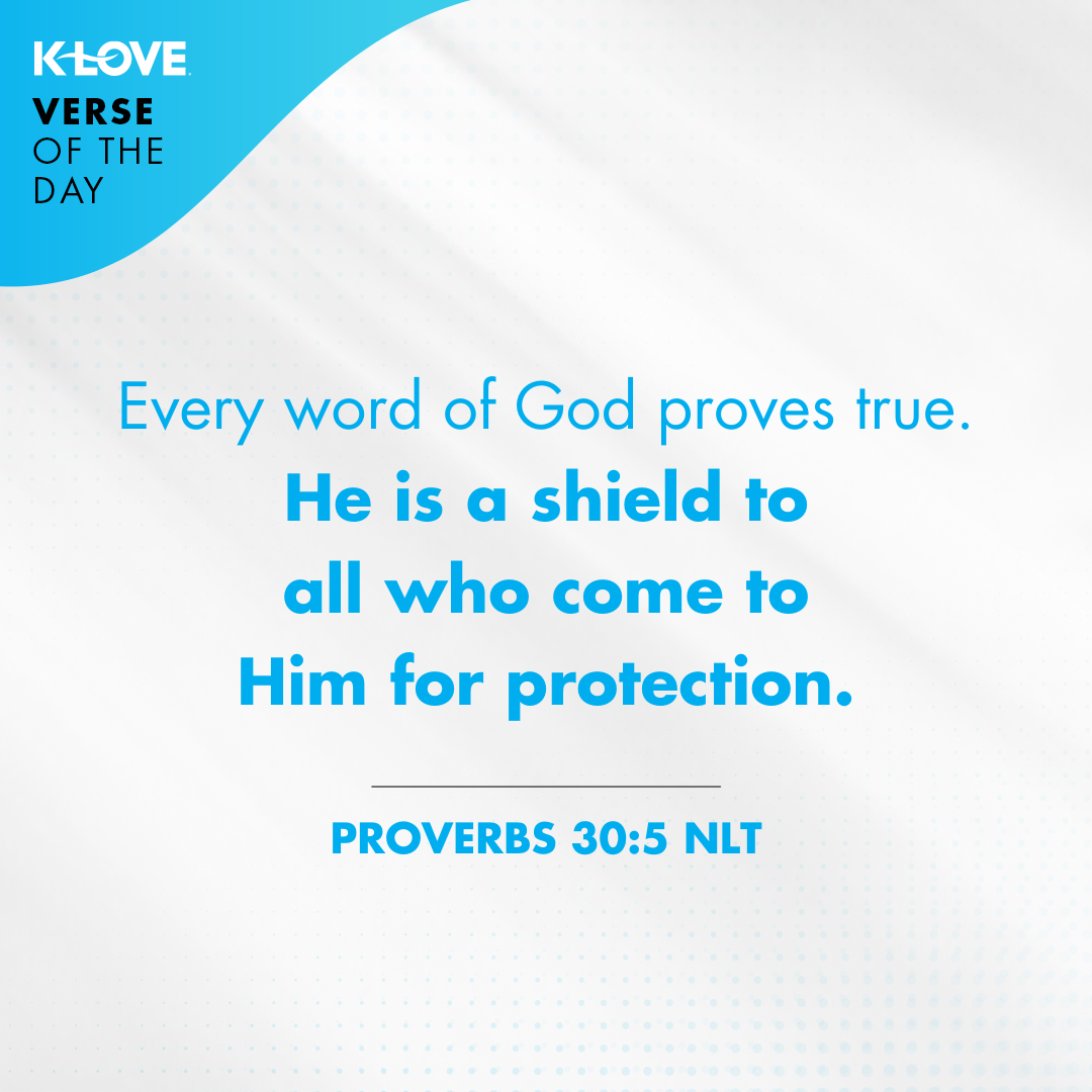 Every word of God proves true. He is a shield to all who come to him for protection. Proverbs 30:5