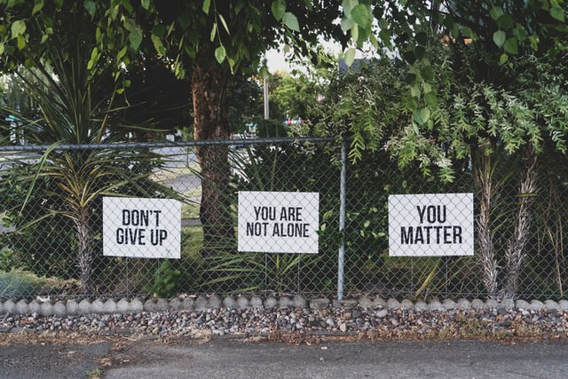 Signs on fence don